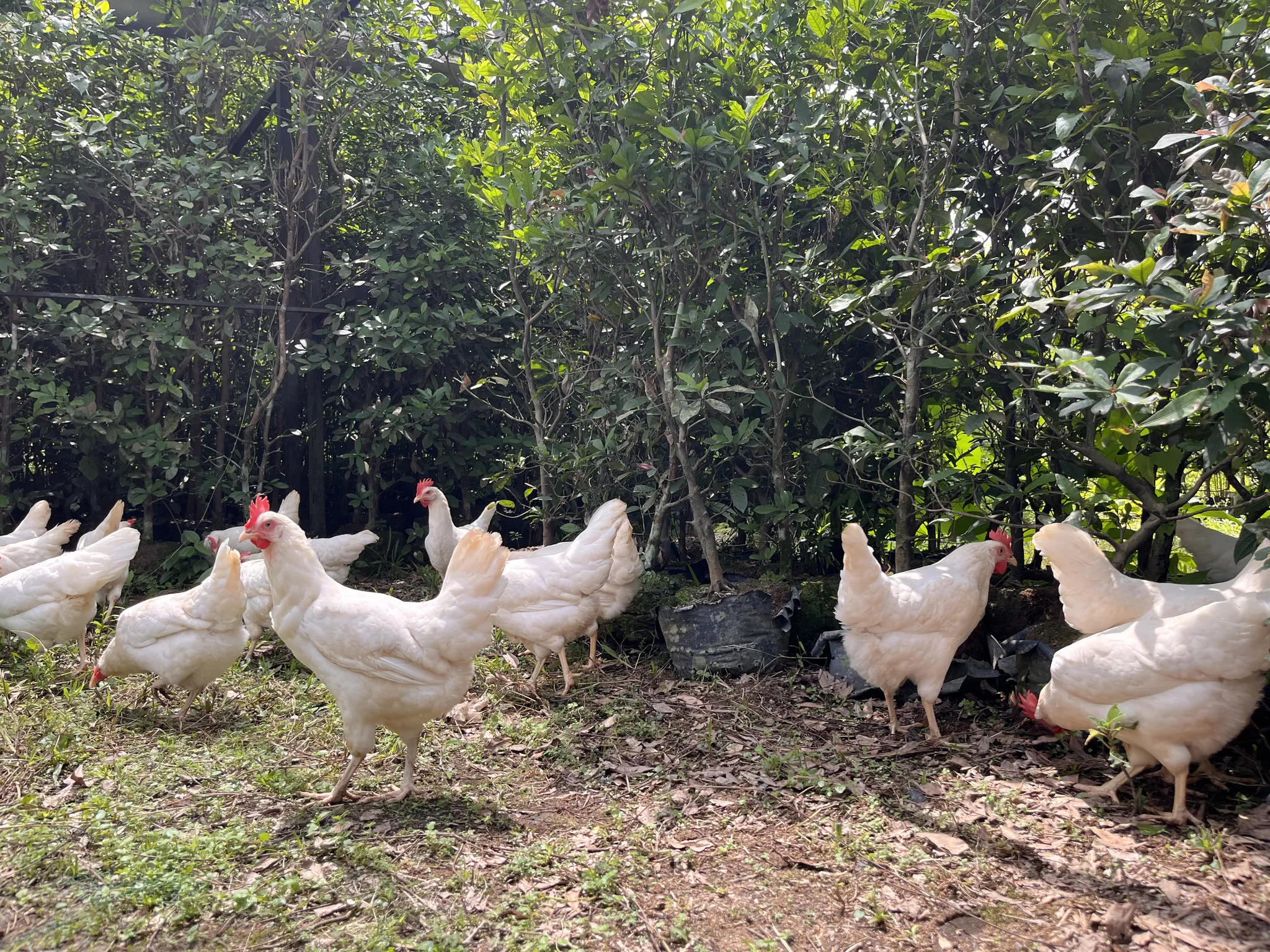 Farm Visit