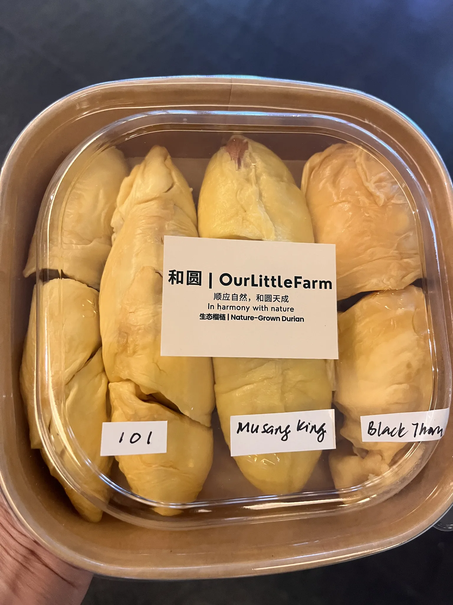 Taste the durians